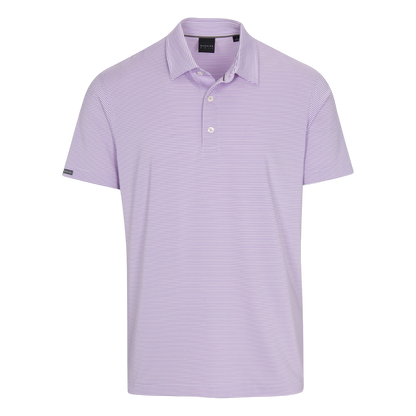 D7S21K492.Aster-White:Small.TCP