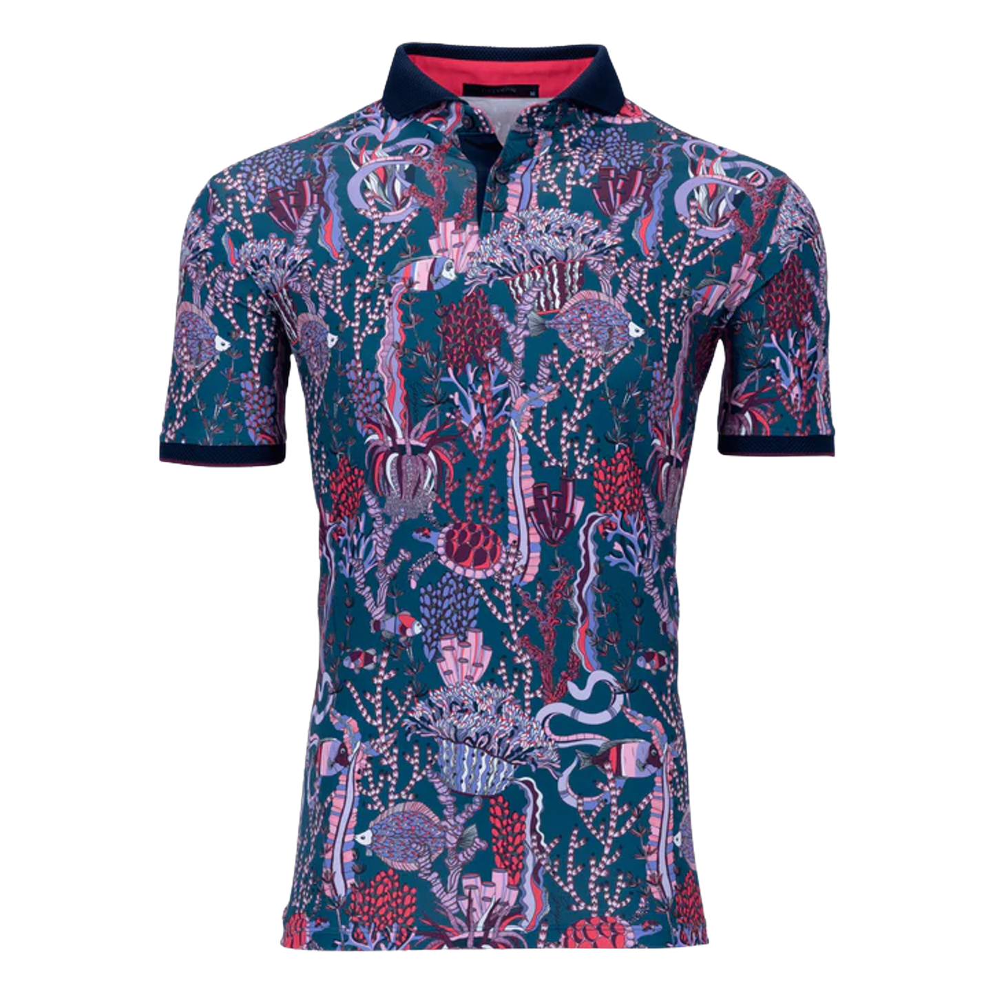 MSP24K16.Sea Turtle:XL.TCP